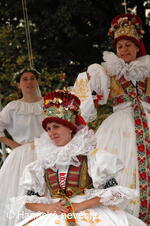 Hanácké folklorní sdružení