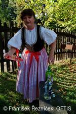 Folklorní festival Slezské dny