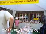 Sousedské slavnosti 2009 - Realitní kancelář perníkových nemovitostí