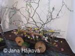 Klub zahradkářů Trnávka uspořádal 2. ročník jarní výstavky
